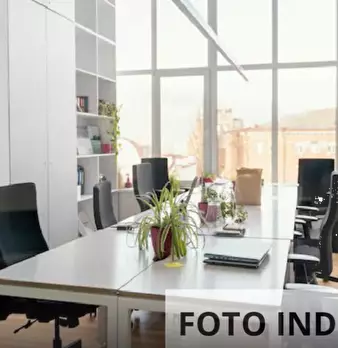 Foto annuncio 7