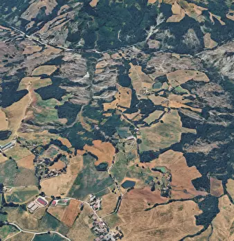 Foto annuncio 9