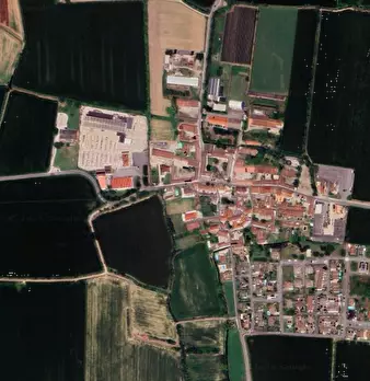 Foto annuncio 4