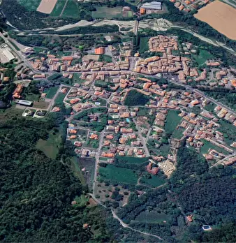 Foto annuncio 10