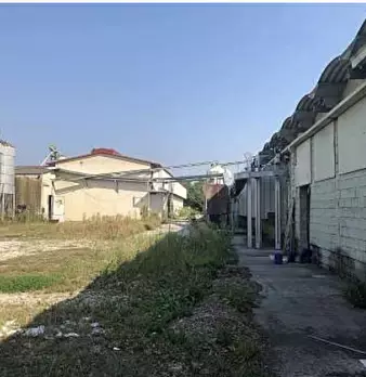 Foto annuncio 8
