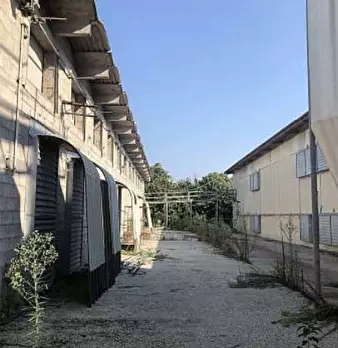 Foto annuncio 19