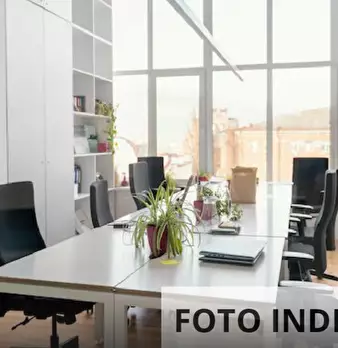 Foto annuncio 12