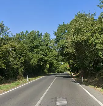 Foto annuncio 8