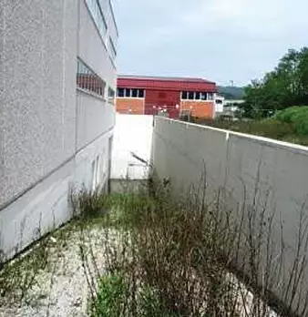 Foto annuncio 11