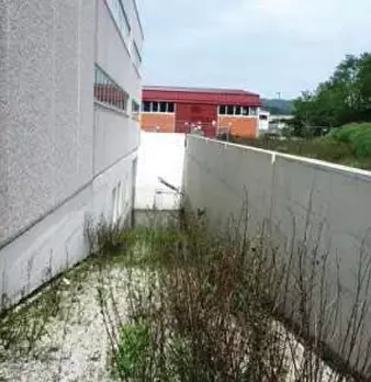 Foto annuncio 6