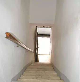 Foto annuncio 12