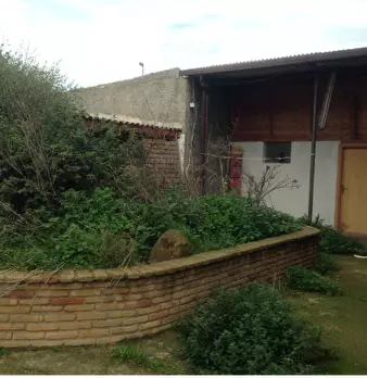 Foto annuncio 4