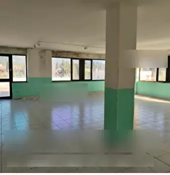 Foto annuncio 11