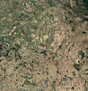 Foto annuncio 9