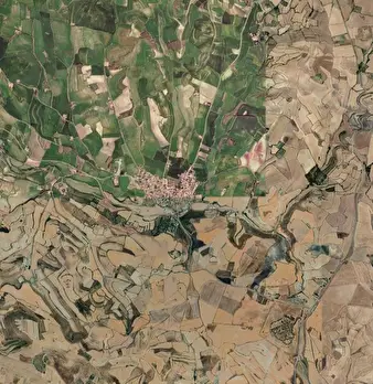Foto annuncio 10