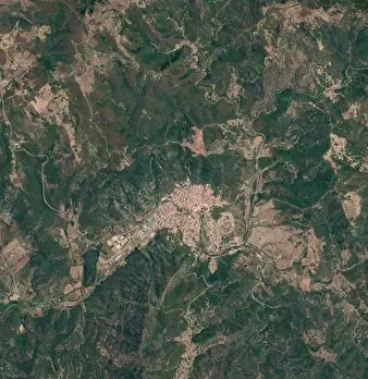 Foto annuncio 11