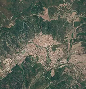 Foto annuncio 12