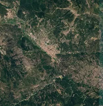 Foto annuncio 7