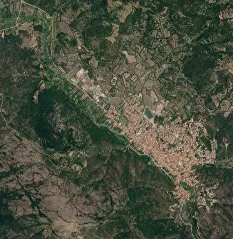 Foto annuncio 11