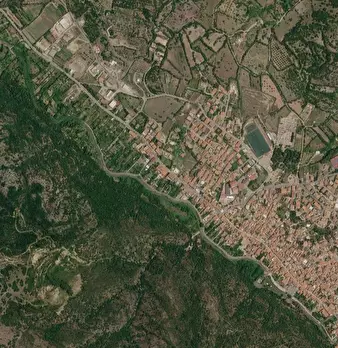 Foto annuncio 12