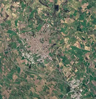 Foto annuncio 9