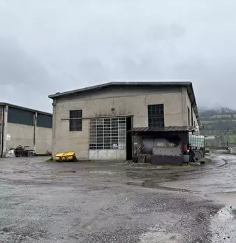 Foto annuncio 3