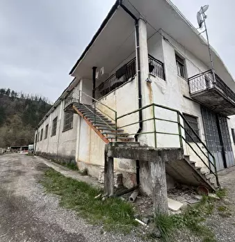 Foto annuncio 6