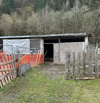 Foto annuncio 11