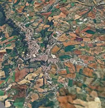 Foto annuncio 7