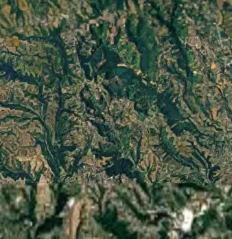Foto annuncio 11