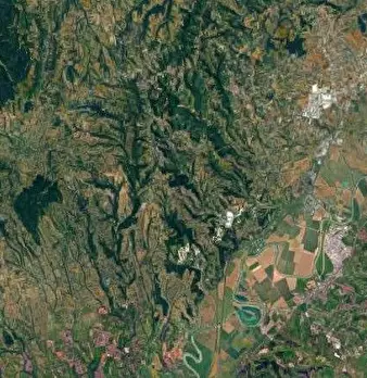 Foto annuncio 12