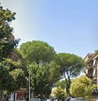 Foto annuncio 4