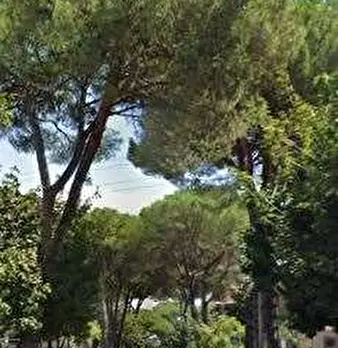 Foto annuncio 5