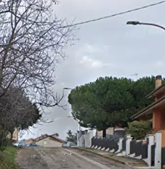 Foto annuncio 19