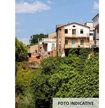 Foto annuncio 14