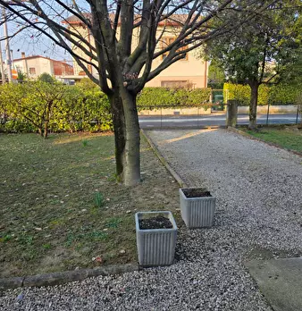 Foto annuncio 8