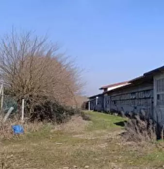 Foto annuncio 12