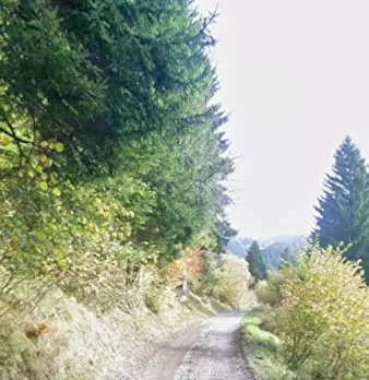 Foto annuncio 11