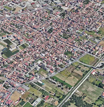 Foto annuncio 7