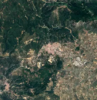 Foto annuncio 6