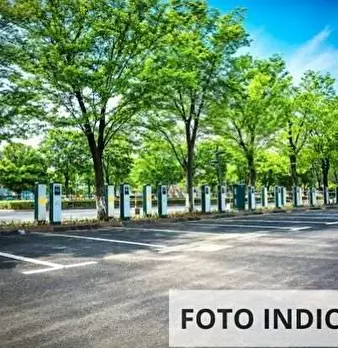 Foto annuncio 9