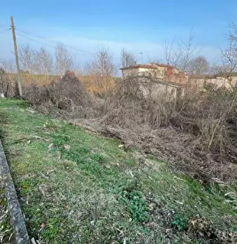Foto annuncio 9