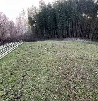 Foto annuncio 10