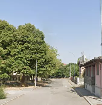 Foto annuncio 8