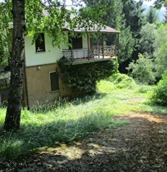 Foto annuncio 2