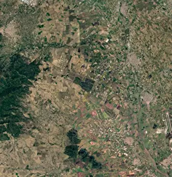 Foto annuncio 12