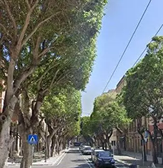 Foto annuncio 4