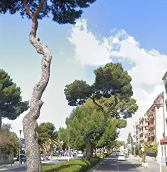 Foto annuncio 2