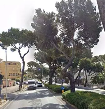 Foto annuncio 3