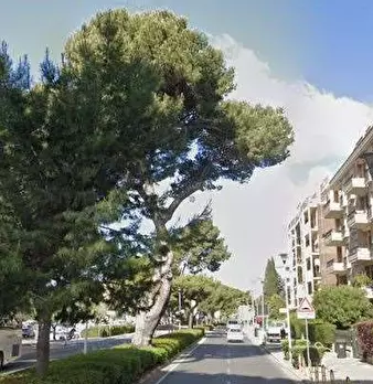 Foto annuncio 5
