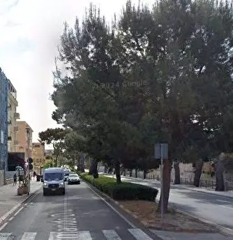 Foto annuncio 6