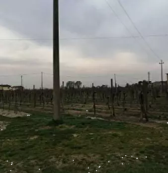 Foto annuncio 3
