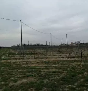 Foto annuncio 4