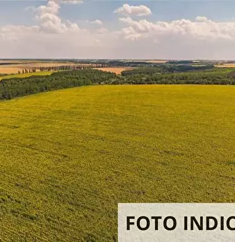 Foto annuncio 12